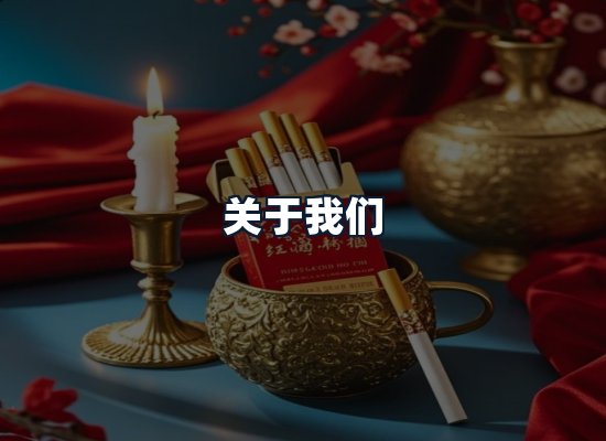 关于我们